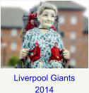 Liverpool Giants 2014